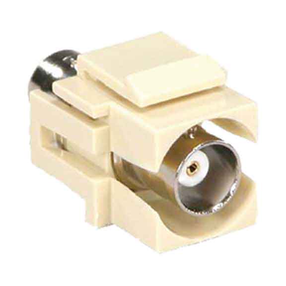 Ivory Ivory